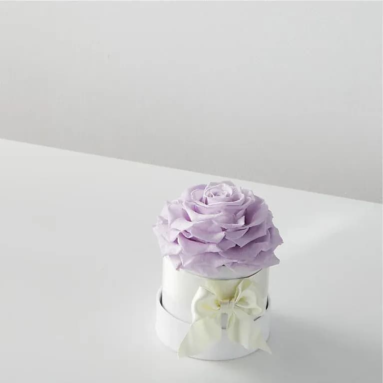 Lavender Forever Rose Single Preserved