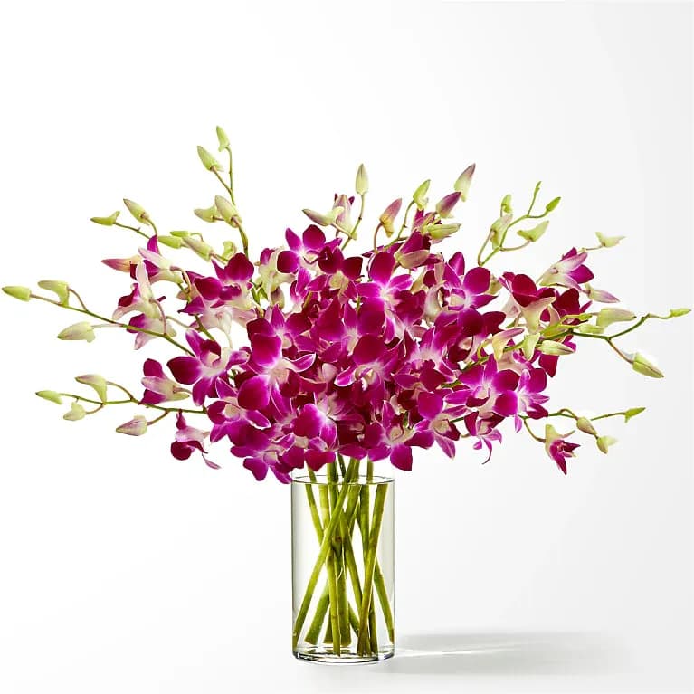 Positively Purple Orchid Bouquet Standard with Vase