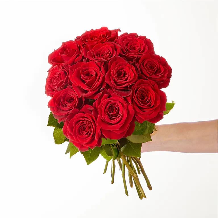 Red Rose Bouquet 12 Roses