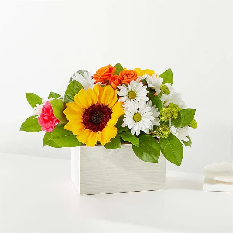 Sun-drenched Blooms Box Bouquet Standard