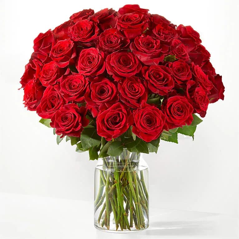 Three Dozen Long Stem Red Roses