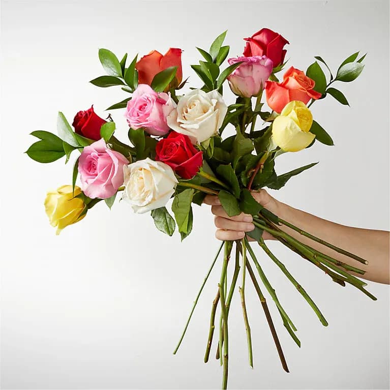 Mixed Roses 12 Roses